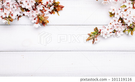 Spring border, April floral and spring blossom nature on wooden background. Branches of blossoming. Easter and spring greeting cards with copy space. Springtime. Spring border, April floral and spring blossom nature on wooden background. Branches of blossoming. Easter and spring greeting cards with copy space. Springtime. 101119116
