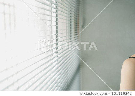 Blind curtain Blind curtain 101119342