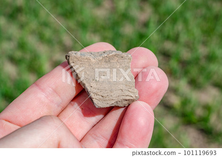 A fragment of a ceramic vessel found in a field 101119693