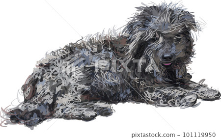 Drawing of lying poor Shih-tzu dog 101119950