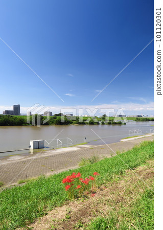 Flooded Edogawa riverbed scenery with a soccer field the morning after the typhoon passed 101120301