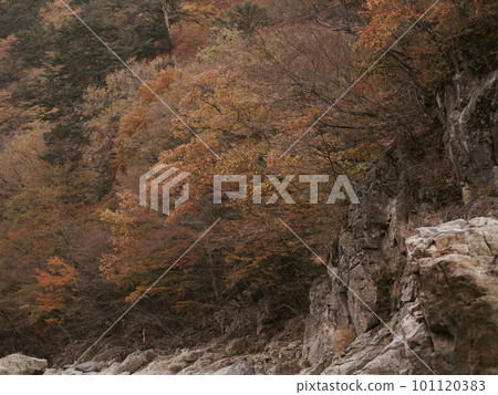 秋天的奧日光,從上空俯瞰的龍頭瀑布 秋天的奧日光,從上空俯瞰的龍頭瀑布 101120383