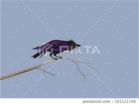 棲息在雪地樹枝上的大嘴烏鴉 101121148