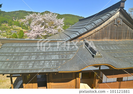 Mountain spring 101121881