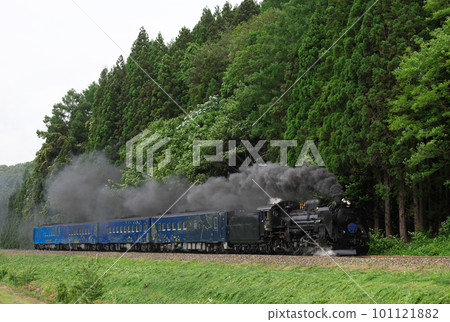 Steam locomotive galaxy running through fresh green with smoke 101121882