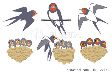 燕子插圖集 101122139