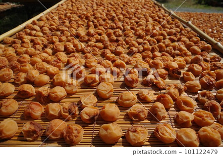 Umeboshi 熟悉的健康食品曬乾的梅農用木托盤 9 101122479