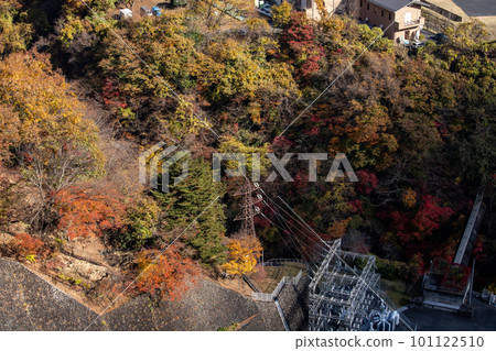 Autumn leaves of Okutama Autumn leaves of Okutama 101122510