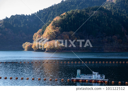 Autumn leaves of Okutama Autumn leaves of Okutama 101122512