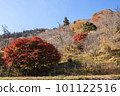 Okutama秋葉 101122516