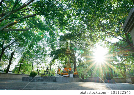 Evening view taken inside Benjakitti Park, Bangkok, Thailand Evening view taken inside Benjakitti Park, Bangkok, Thailand 101122545