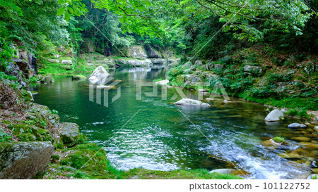 Fresh green Okutsu Valley Fresh green Okutsu Valley 101122752