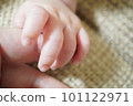 baby's hand holding adult's hand baby's hand holding adult's hand 101122971