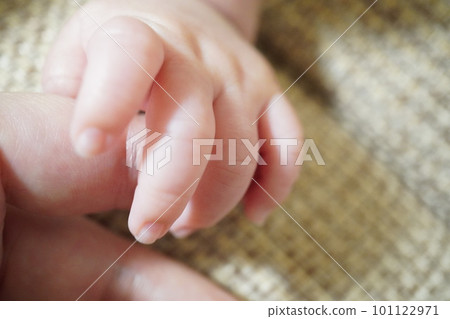 baby's hand holding adult's hand baby's hand holding adult's hand 101122971