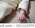 baby hand pictures baby hand pictures 101122979