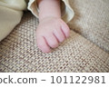 cute baby hand photo cute baby hand photo 101122981