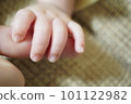 baby's hand holding adult's finger baby's hand holding adult's finger 101122982
