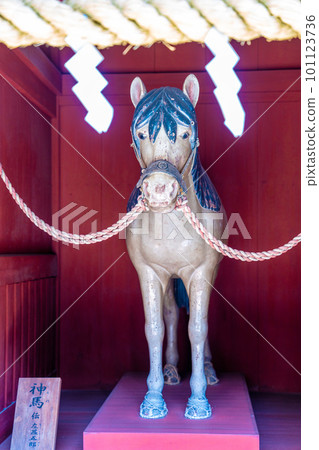 Spring at Shizuoka Sengen Shrine 101123736