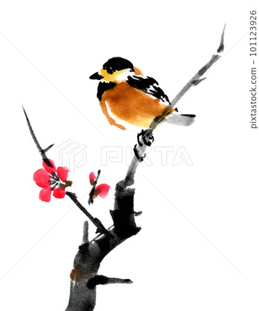 水墨畫梅枝上棲息的山鳥 101123926