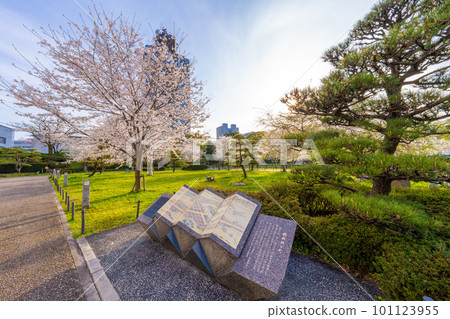 Sunpu城堡公園的春天 Sunpu城堡公園的春天 101123955
