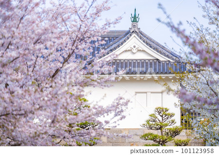 Sunpu城堡公園的春天 Sunpu城堡公園的春天 101123958