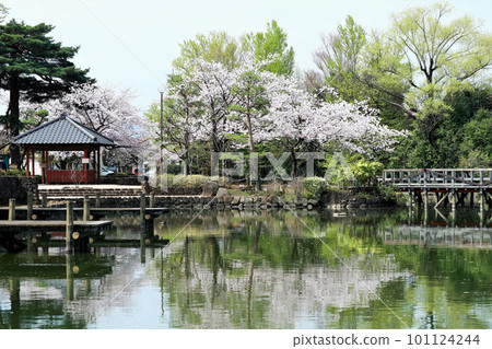 Spring Park (Shihocho, Tokyo) 101124244