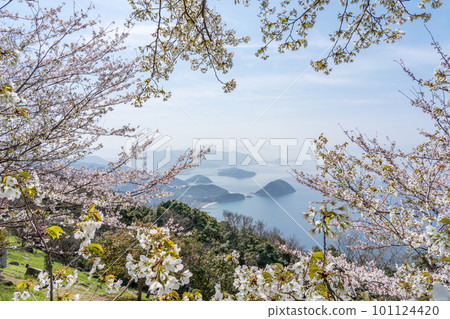 從櫻花盛開的守德山望去的春景 101124420