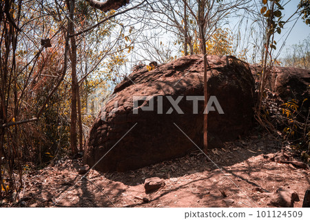 Naka cave giant snake scale stone. in the Phu Langka national park, Buangkan Thailand. Naka cave giant snake scale stone. in the Phu Langka national park, Buangkan Thailand. 101124509