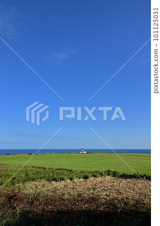 Nogi Cape Lighthouse Nogi Cape Lighthouse 101125031