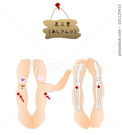Acupuncture points Ashisanri's cute illustration 2 101125413