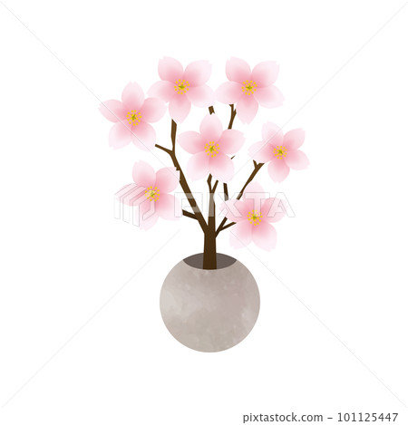 女兒節櫻花 女兒節櫻花 101125447