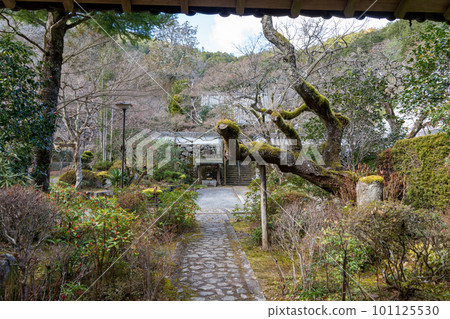 神社廟 神社廟 101125530