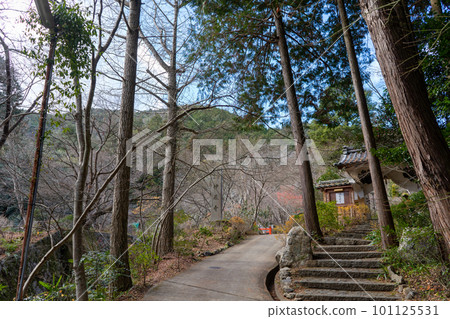 Shrine temple Shrine temple 101125531