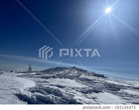In the snow 101126373