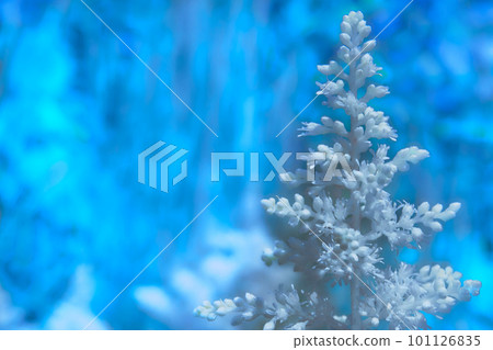 Abstract white plant on a blue mystical glowing background Abstract white plant on a blue mystical glowing background 101126835