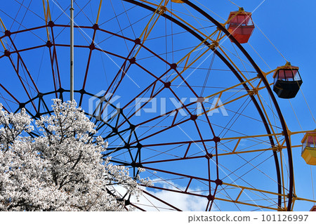 春天遊樂園裡的摩天輪 101126997