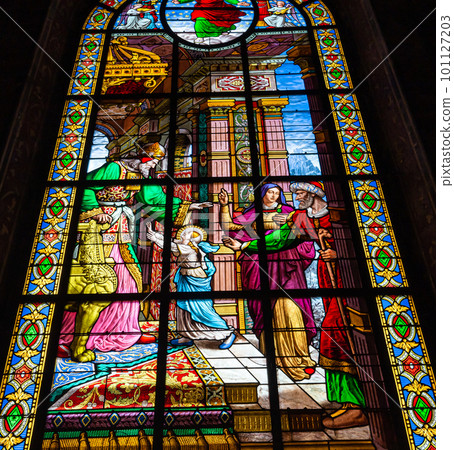 Saint Louis cathedral, La Rochelle, Charente maritime, France 101127203