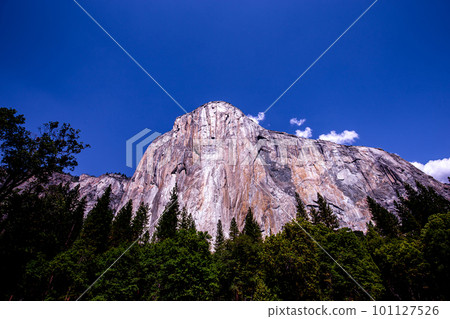 Yosemite valley, Yosemite national park 101127526