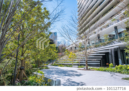 Shintora-dori, Toranomon Hills, Toranomon Shintora-dori, Toranomon Hills, Toranomon 101127716