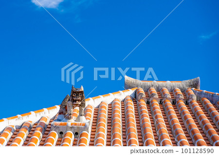 Bougainvillea and Ishigaki 101128590