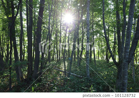 Traveling Woman Hokkaido Edition Traveling Woman Hokkaido Edition 101128732