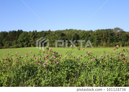Traveling Woman Hokkaido Edition Traveling Woman Hokkaido Edition 101128736