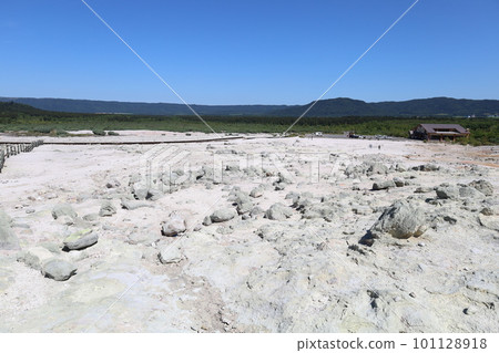 旅行的女人北海道版 101128918