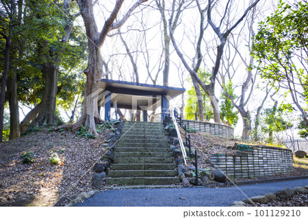 Scenery of Asukayama Park Scenery of Asukayama Park 101129210