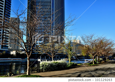 Park Tower Kachidoki South and Mid和其他摩天大樓公寓的Kachidoki地區風景 Park Tower Kachidoki South and Mid和其他摩天大樓公寓的Kachidoki地區風景 101129263