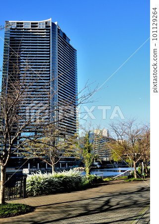 Park Tower Kachidoki South and Mid和其他摩天大樓公寓的Kachidoki地區風景 101129264