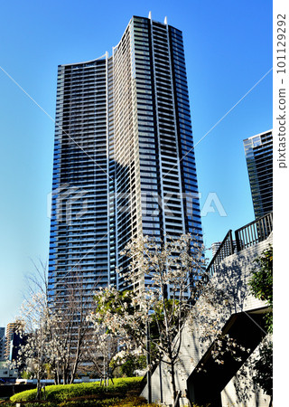 Kachidoki Area Scenery of Park Tower Kachidoki South and Mid and other skyscraper apartments Kachidoki Area Scenery of Park Tower Kachidoki South and Mid and other skyscraper apartments 101129292