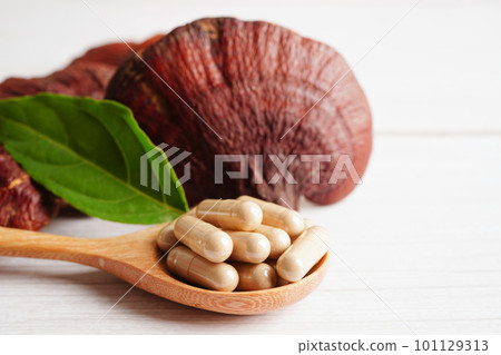Lingzhi or Reishi mushroom with capsules, organic natural healthy food. 101129313