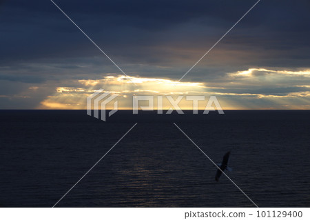 Hokkaido in summer: Mt. Io, Atosanupuri where you can feel the energy of the earth that continues to blow 101129400