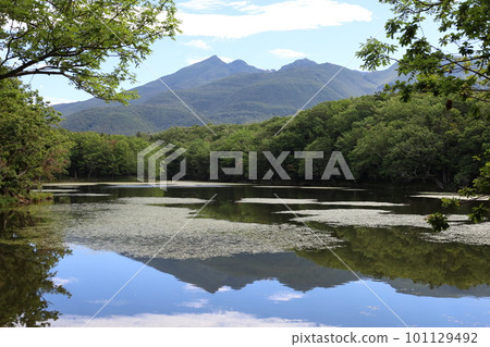 夏季北海道知床五光自然漫步 101129492